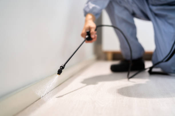 Licensed Pest Control service in Coaldale, PA - Show Me Pest Control