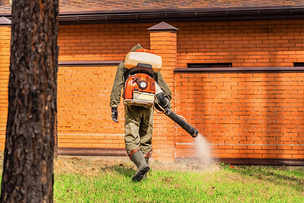 Bed Bug Clearance Verification and Documentation in Coaldale